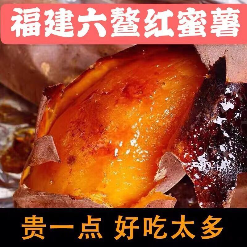 正宗福建六鳌蜜薯沙地红薯新鲜现挖山芋富硒糖心地瓜红心番薯