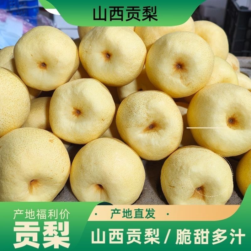 山西贡梨酥梨薄皮肉多汁甜水果可口冰糖雪梨酥梨纯甜非砀山梨
