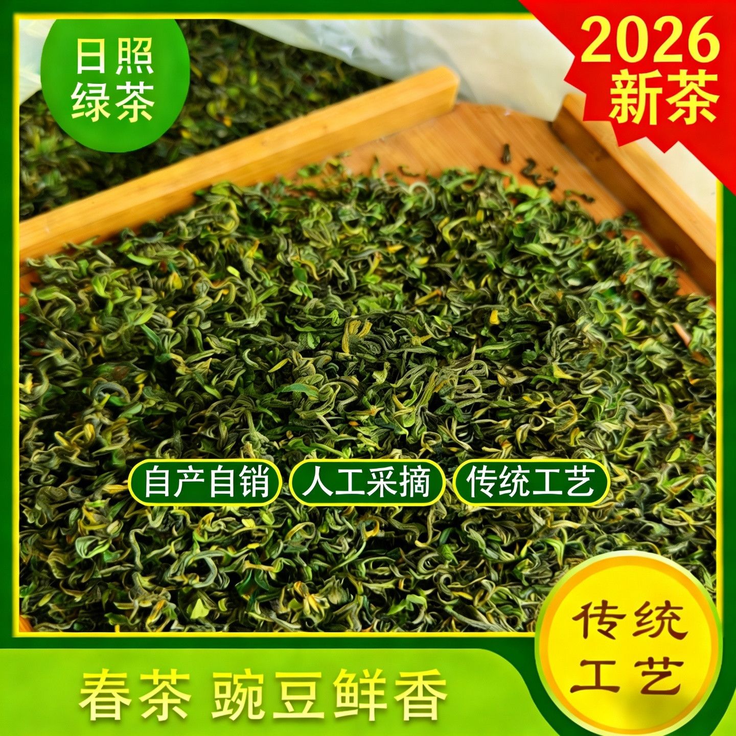 山东日照绿茶2026新茶春茶高火鲜爽豆香绿茶高山云雾炒青250g500g