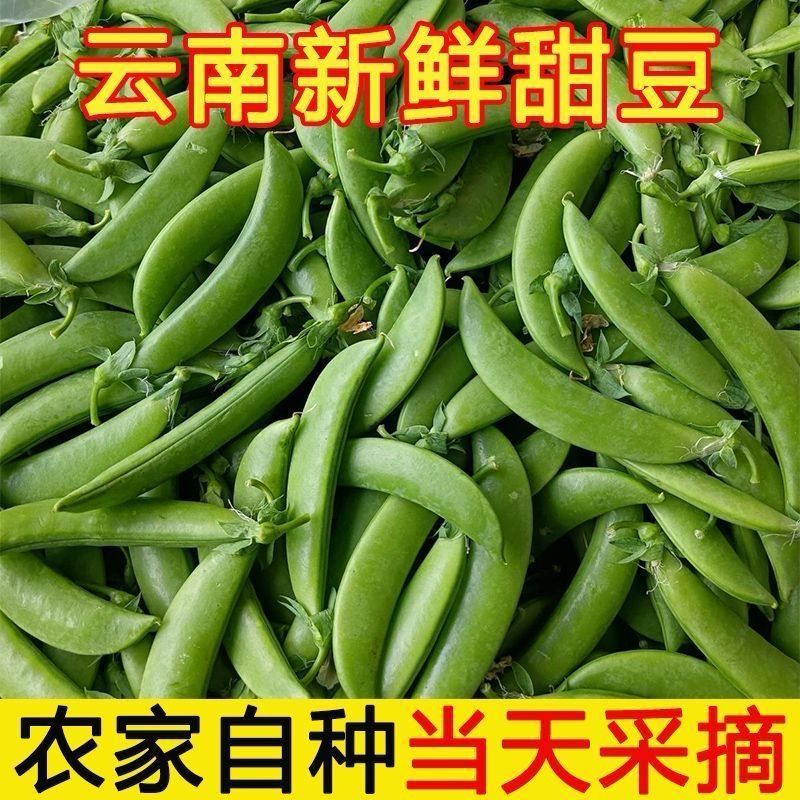 云南甜豆带壳食用豌豆新鲜带壳甜豆荚蔬菜甜脆菜豆甜豆新鲜现摘