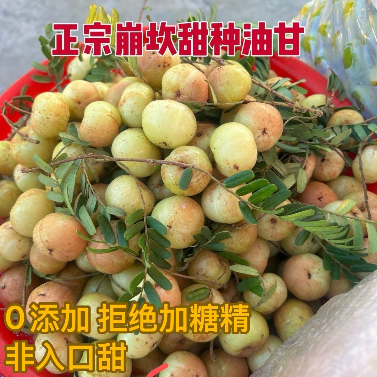 潮汕甜种油柑果新鲜现摘甜油甘余甘果牛甘果生吃花皮回甘孕妇水果