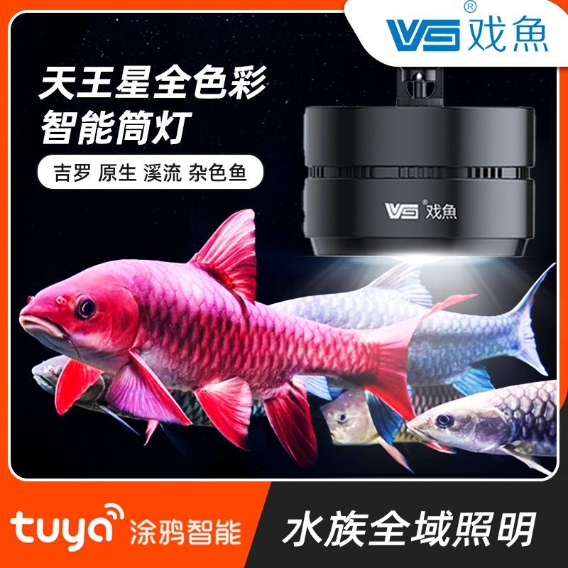 智能鱼缸正品吊灯照明led水草泰狮蝴蝶鲤增艳氛围…