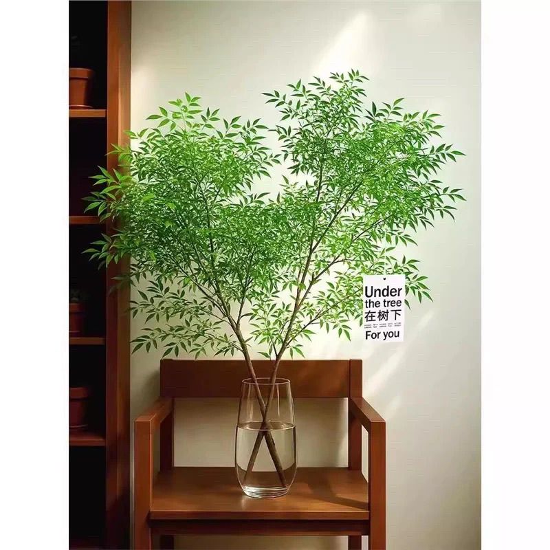 南天竹水培北欧ins鲜切绿植吊钟马醉木平替客厅室内好养植物老桩