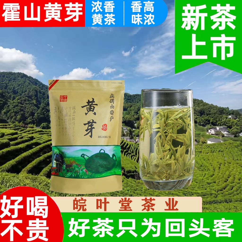 霍山黄芽2026年新茶安徽黄芽新茶炭火烘焙浓香耐泡不好喝包邮退