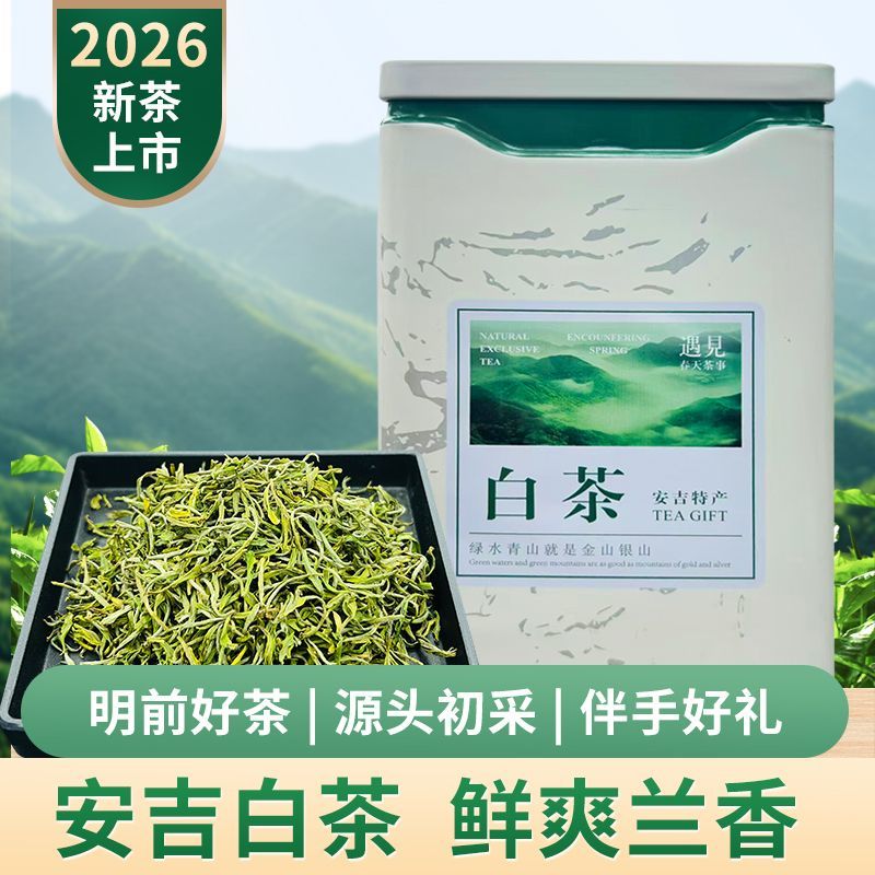 2026新茶【兰花型】安吉白茶正品手工珍稀白茶兰香形铁罐装