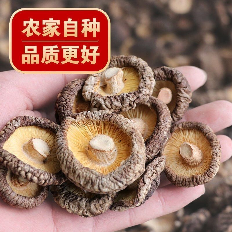 【耳小主】香菇干货古田肉厚无根农家干香菇新货菌菇煲汤家用批发 图片 6