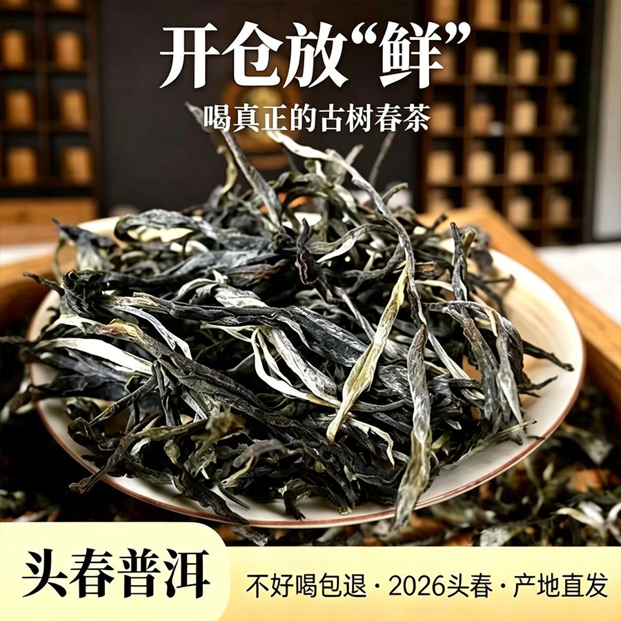 冰岛头春茶普洱茶生茶散茶晒青茶古树茶散装茶叶特级冰岛生茶