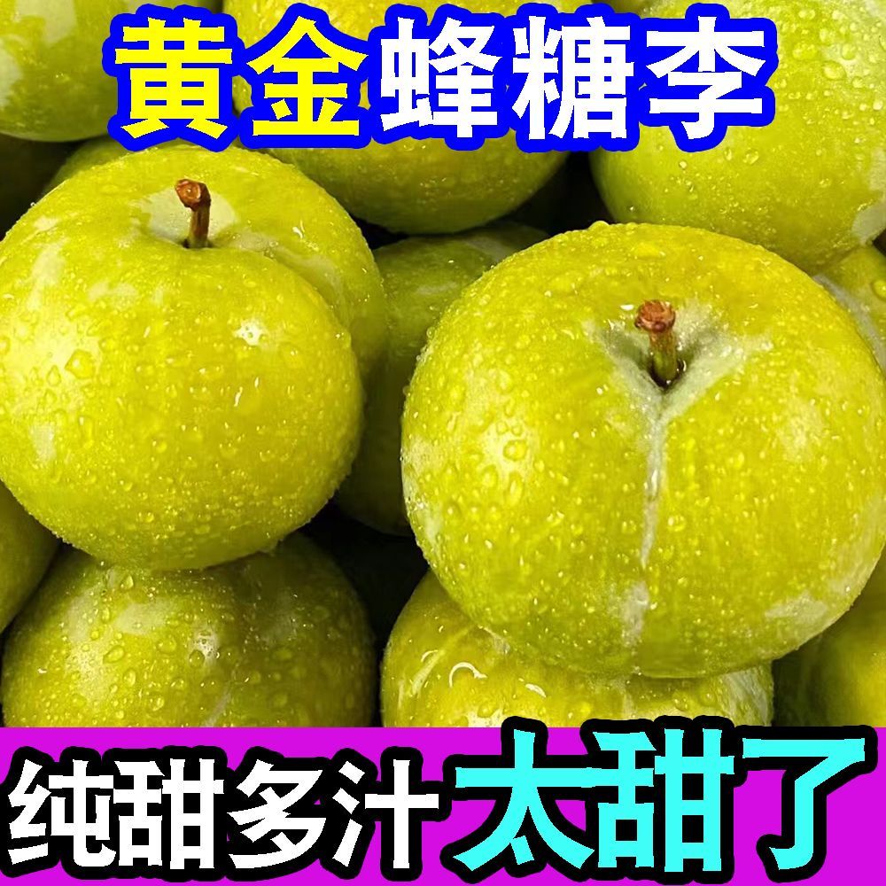 正宗超甜黄金蜂糖李子脱骨李当季新鲜水果冰糖李子脆甜整箱批发