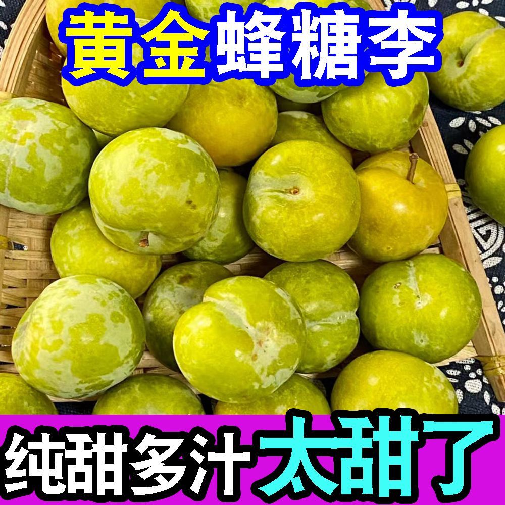 正宗超甜黄金蜂糖李子脱骨李当季新鲜水果冰糖李子脆甜整箱批发