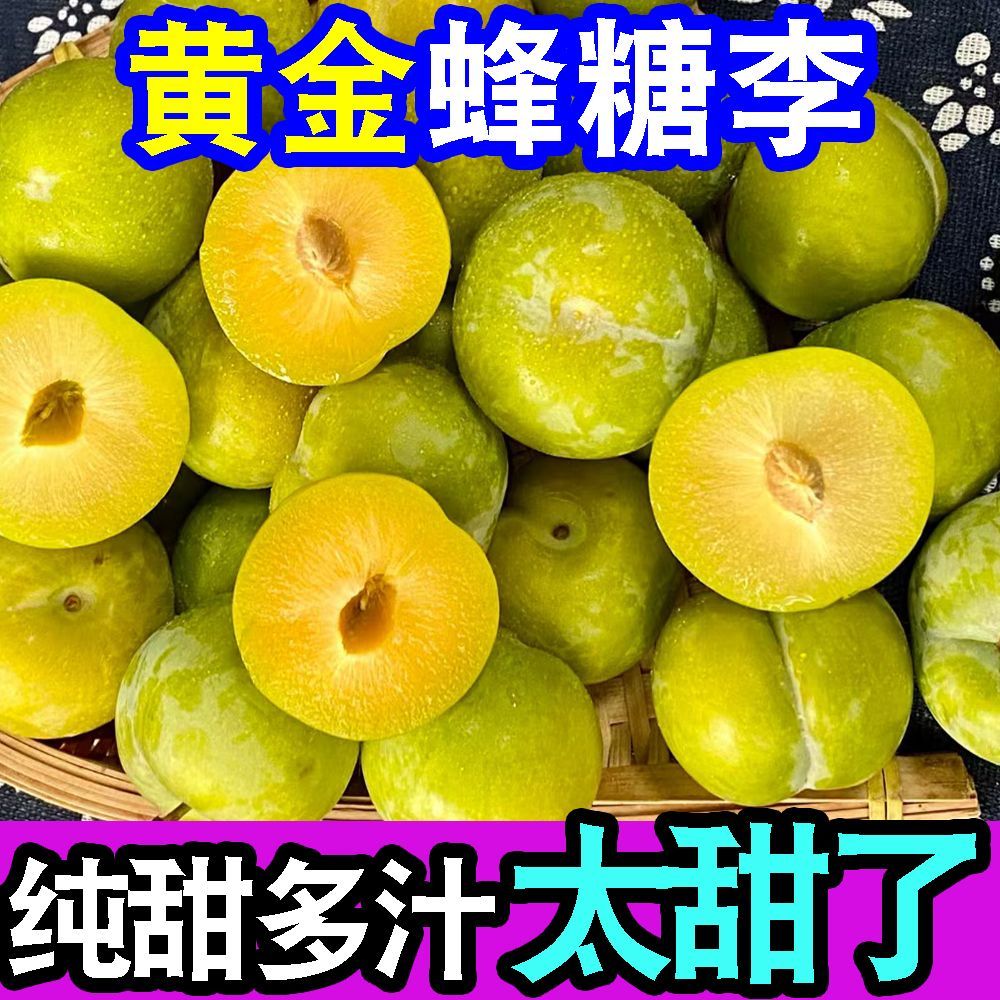 正宗超甜黄金蜂糖李子脱骨李当季新鲜水果冰糖李子脆甜整箱批发