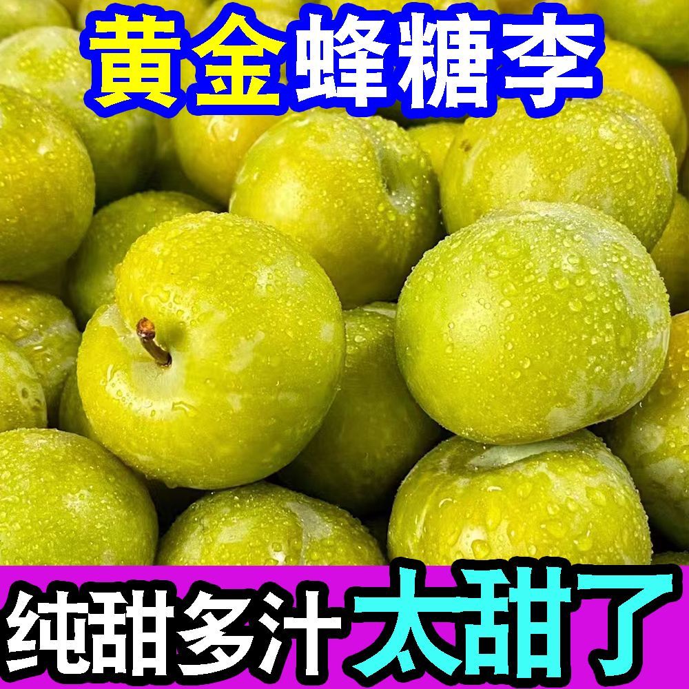 正宗超甜黄金蜂糖李子脱骨李当季新鲜水果冰糖李子脆甜整箱批发