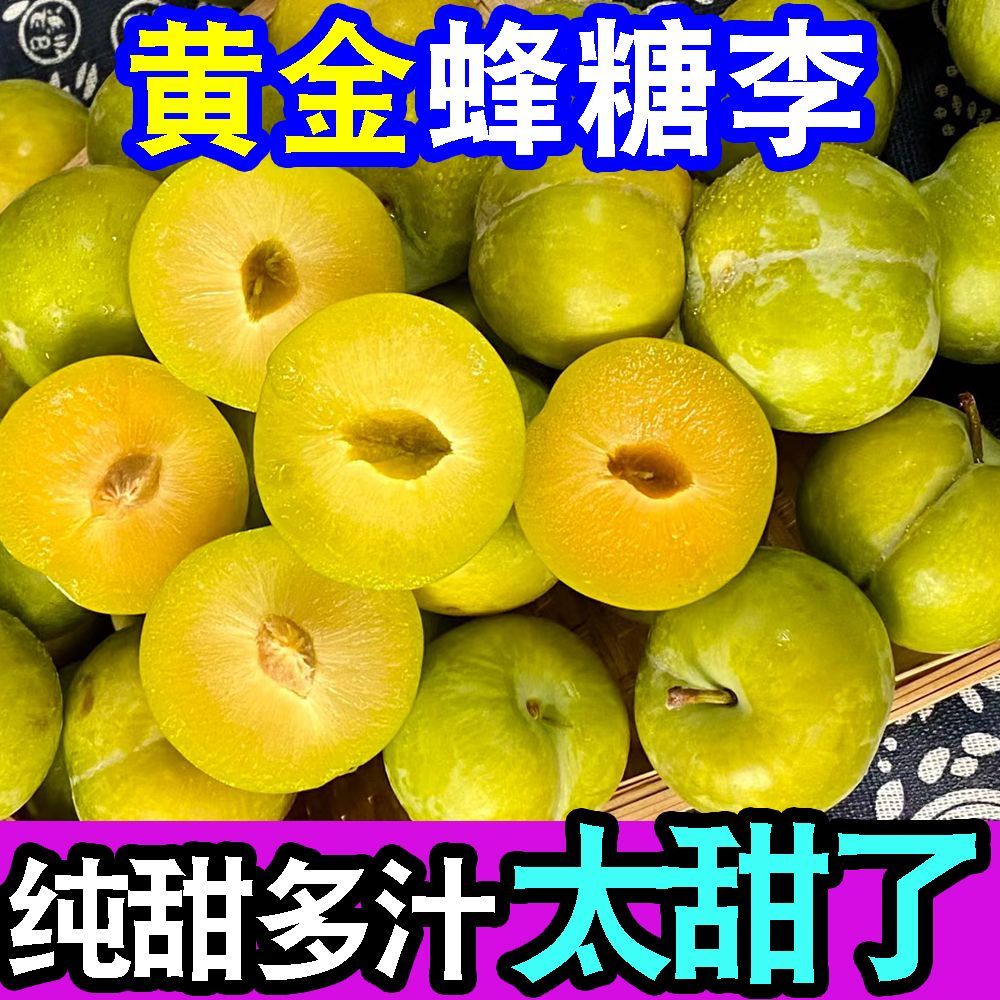 正宗超甜黄金蜂糖李子脱骨李当季新鲜水果冰糖李子脆甜整箱批发