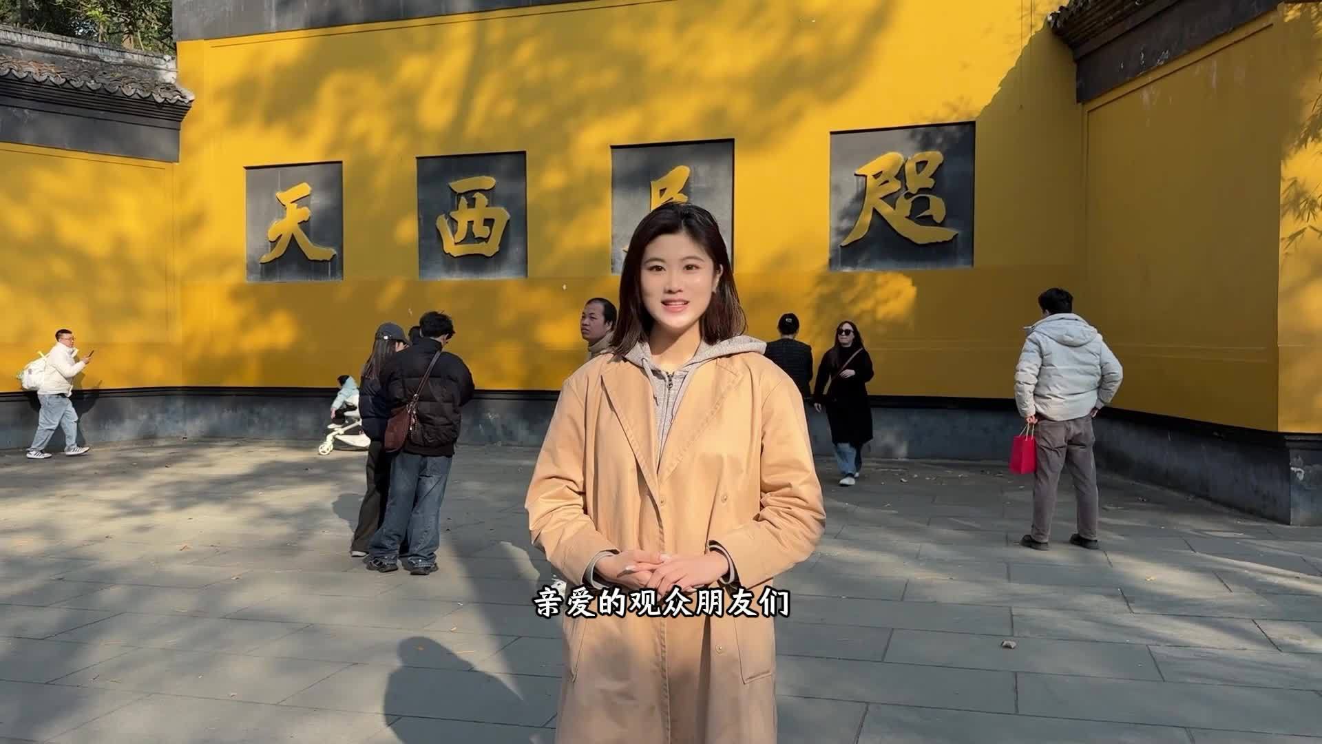 【灵隐仙踪】金丝楠木108颗念珠手串生肖本命佛文玩链条式多圈 detail 23