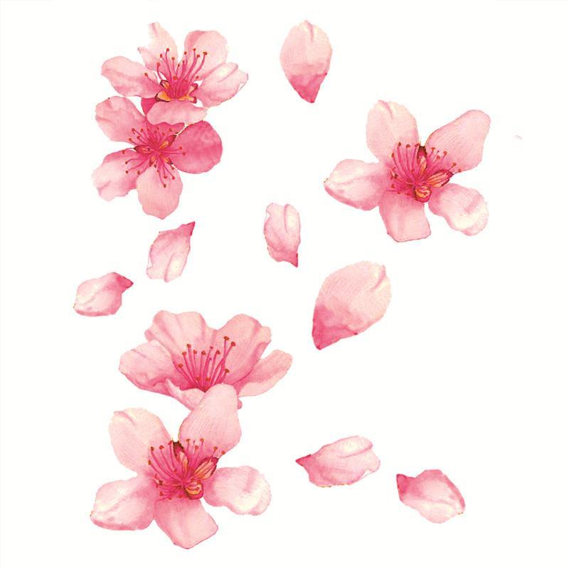 樱花的回忆 锁骨纹身贴 小清新女防水持久贴纸桃花图案可爱风