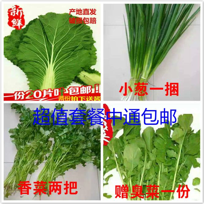 东北饭包大白菜叶小香葱香菜臭菜东北蘸酱菜小菜饭包套餐【15天内发货
