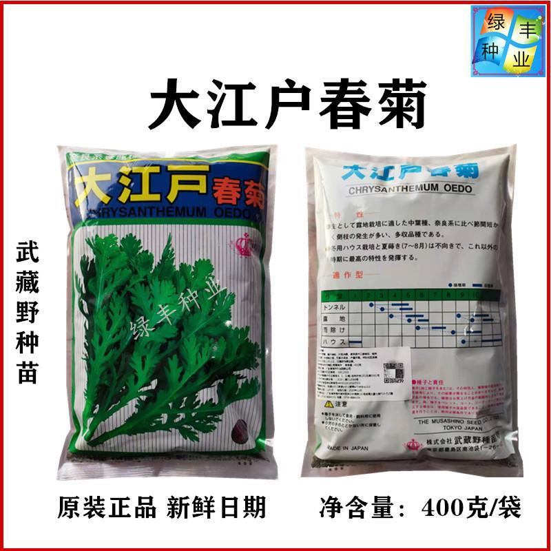 大江户春菊茼蒿种子黄帝菜广良茼蒿菜良种春夏秋冬季蔬菜种孑 虎窝拼 大江户春菊茼蒿种子黄帝菜广良茼蒿菜良种春夏秋冬季蔬菜种孑 虎窝拼