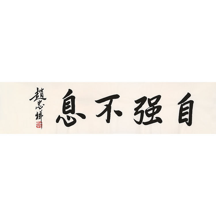 特惠赵忠祥手绘二尺横幅宣纸毛笔书法 自强不息 客厅装饰赠合影