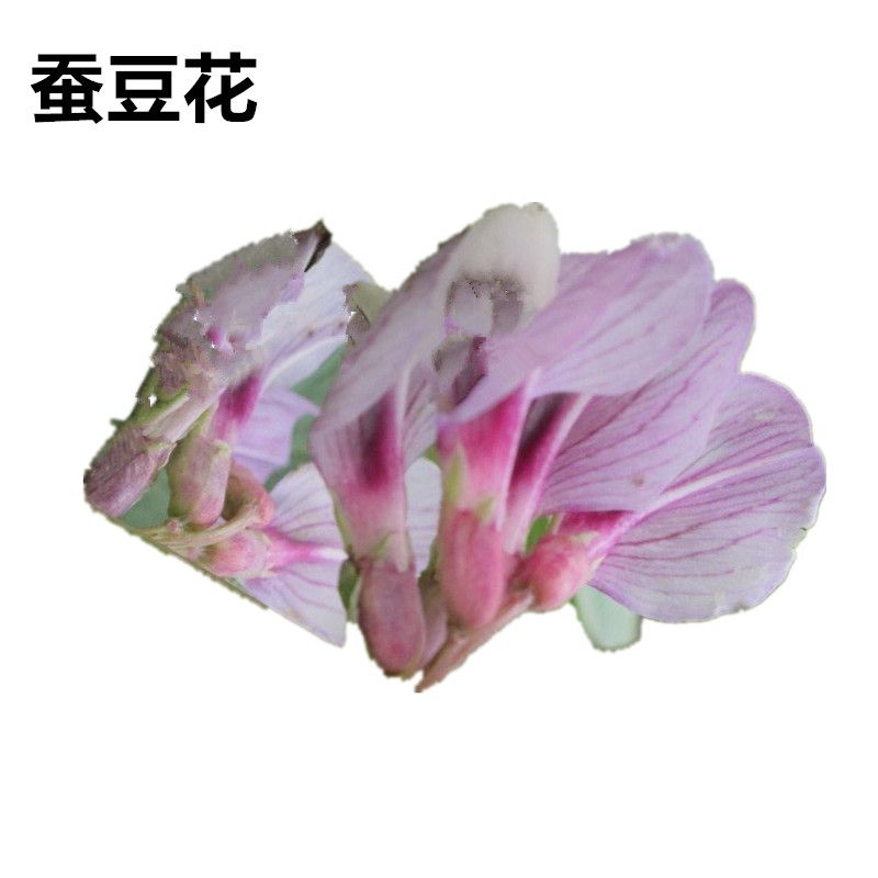 蚕豆花中药材扁豆花茶500g包邮颗搭配厚朴花