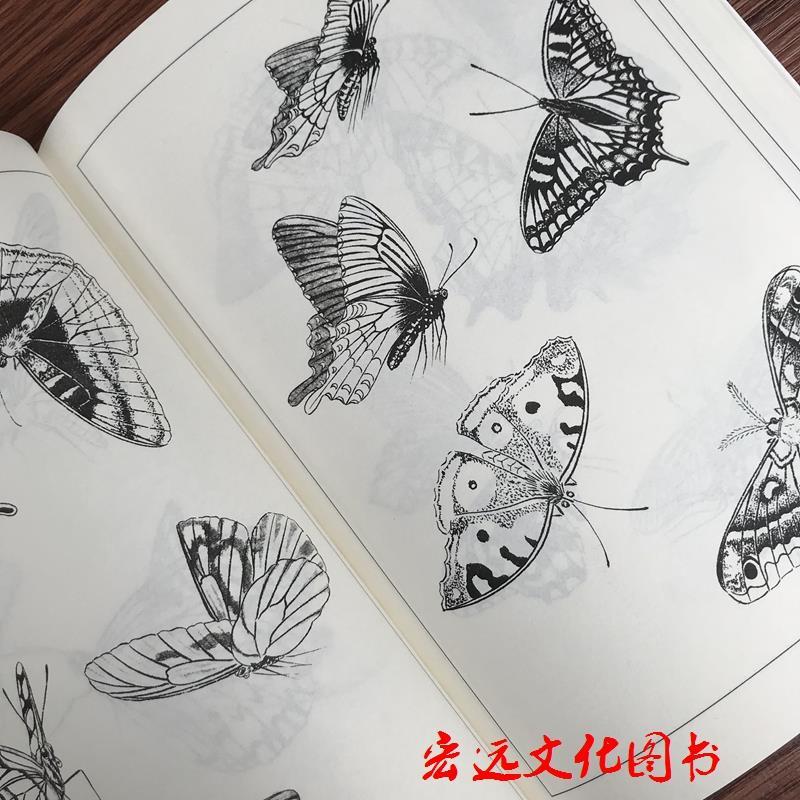 百蝶画谱蝴蝶 绘画书白描 工笔画白描底稿初学者中国画线描工蝴蝶