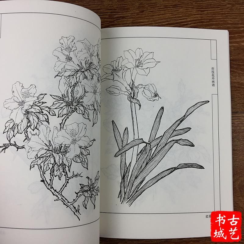 中国画名家白描折枝花卉画谱书线描工笔画荷花牡丹百合芙蓉花白描