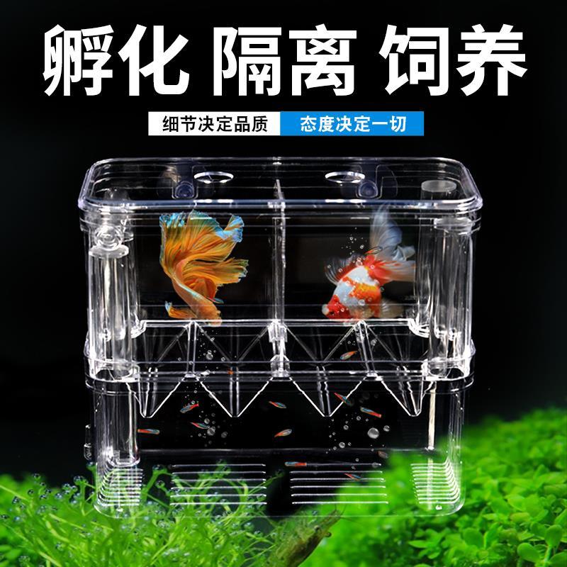 鱼缸孵化盒孔雀鱼繁殖盒缸外用小鱼凤尾金鱼幼鱼产房孔雀鱼繁殖箱