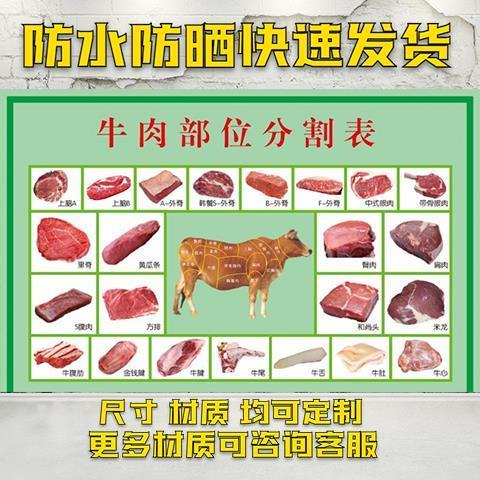 牛肉切割分布图防水海报定制自粘贴纸牛肉分割部位图