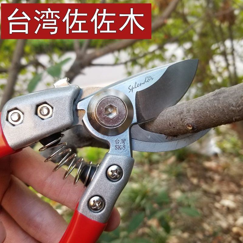 进口佐佐木修枝剪园艺工具修剪花卉绿植盆景修枝造型剪刀果树枝剪