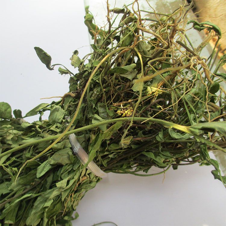 中草药新品野生紫背金牛500g优大金不换远志大牛草叶叶一枝花包邮