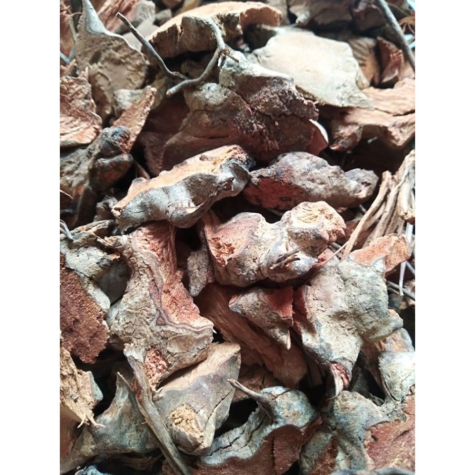 福建野生大通筋根青草药根野生大通根大通筋中药材500克干货切片