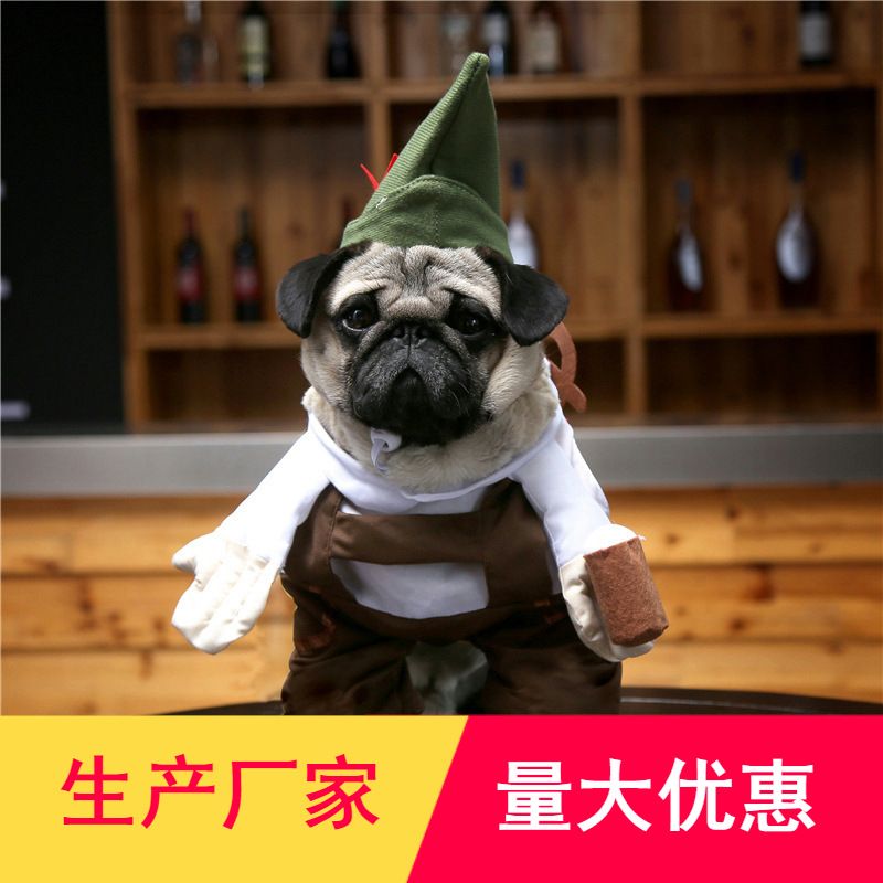 狗狗啤酒服务生 搞怪站立装服务员衣服搞笑绿帽子拿酒杯泰迪比熊