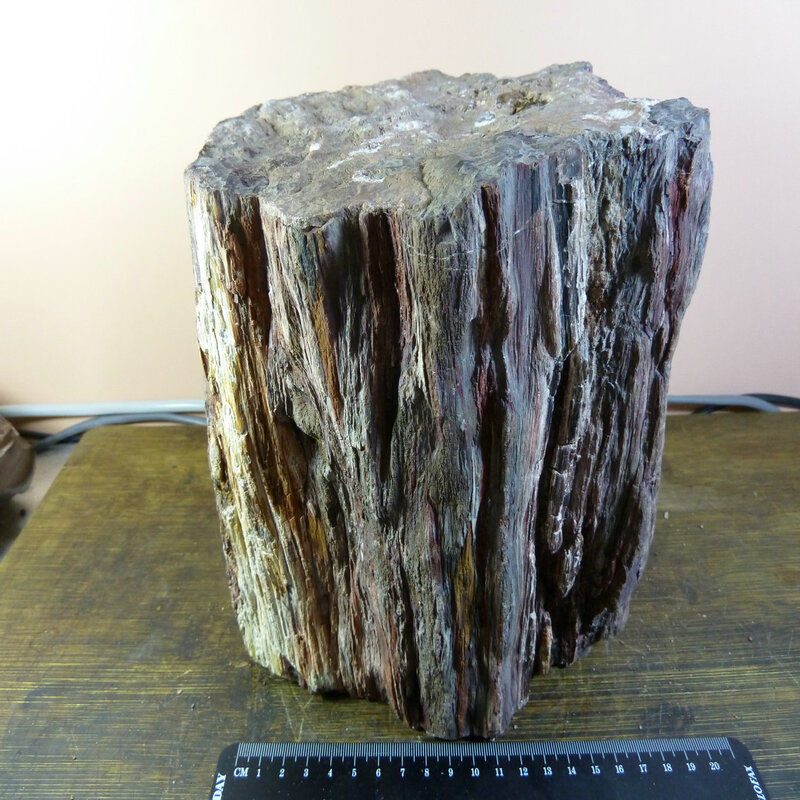 包邮8209号 新疆哈密地下硅化木