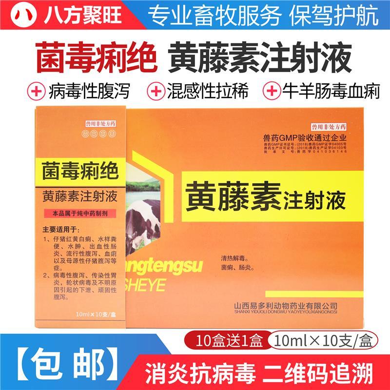 黄藤素注射液菌毒痢绝针剂兽药猪牛羊血痢病毒性细菌性拉稀腹泻【2月