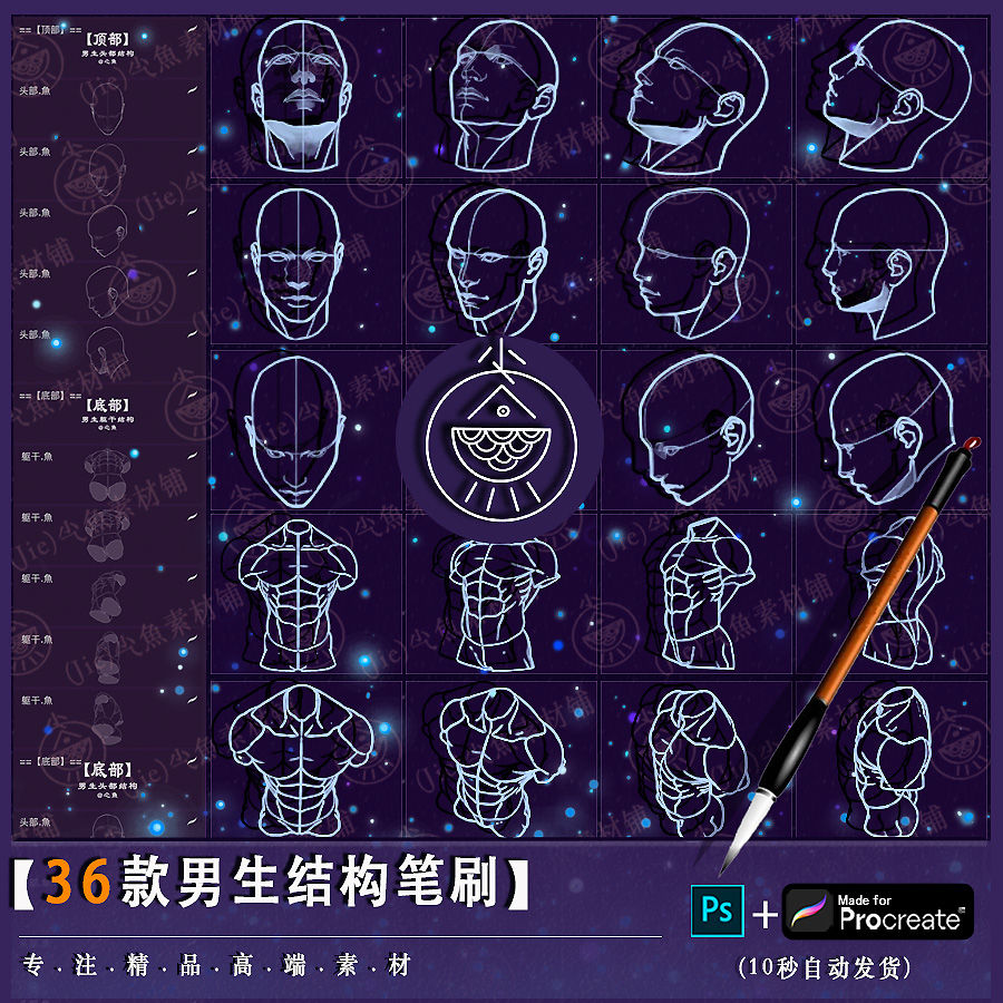 procreate笔刷ps男生动漫人体头像多角度姿势结构线稿