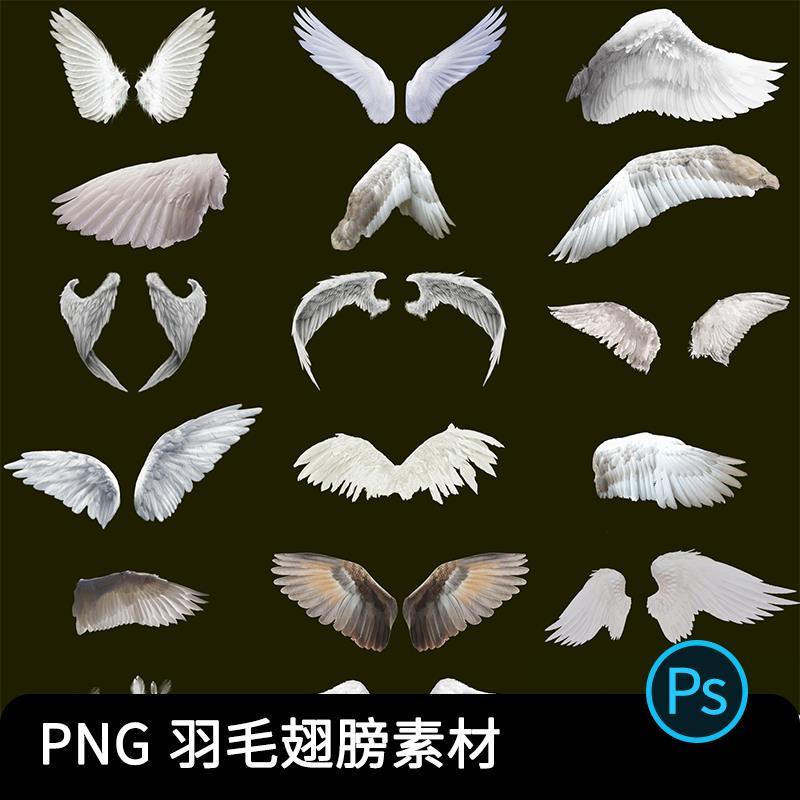 黑白色真实天使翅膀羽翼png影楼儿童摄影后期装饰合成设计ps素材