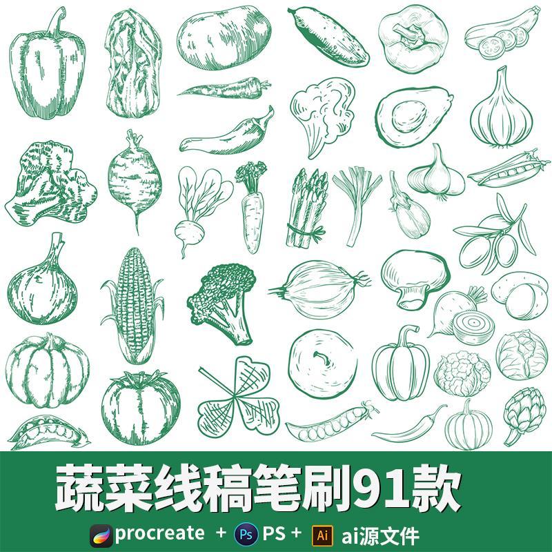 procreate笔刷蔬菜水彩线稿番茄临摹ai矢量图水果手绘ps画笔素材