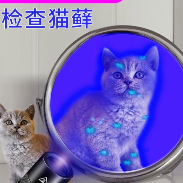 伍德氏灯猫藓宠物真菌检测灯365nm猫癣紫外线灯照猫藓紫光手电筒