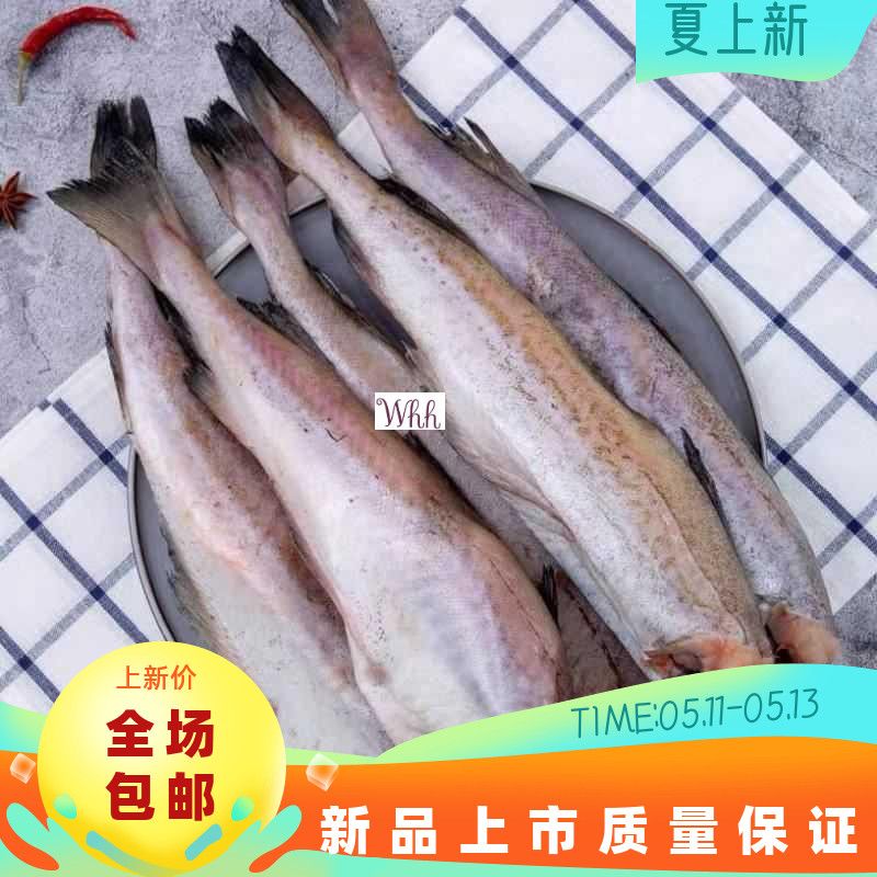 海捕鳕鱼块去头去尾明太鱼新鲜活冷冻海鲜含冰衣狭鳕鱼无头鱼