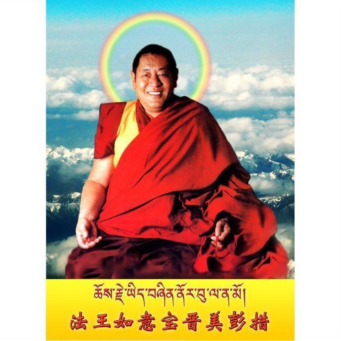佛像图挂画像佛菩萨唐卡画像法王如意宝像照相片塑封