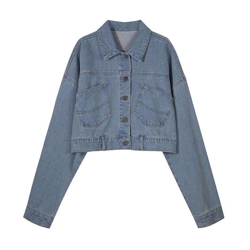 Net red denim short jacket female spring and autumn new retro small lapel jacket loose casual top ins tide
