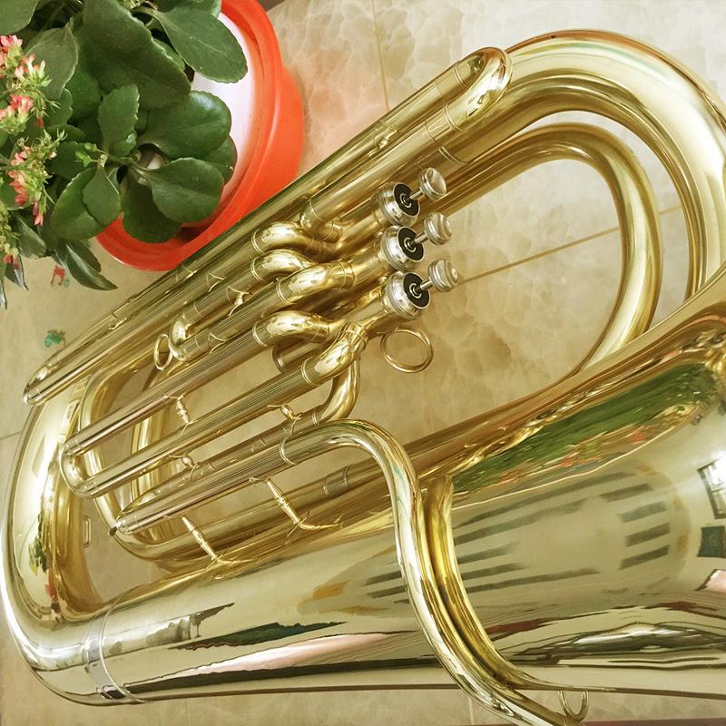 西洋乐器降b调上低音大抱号成人大号西洋管乐器成人团体初学演奏