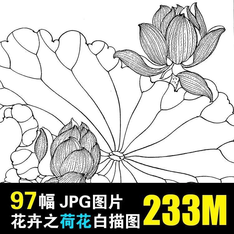 中国画工笔荷花白描线稿手绘临摹上色练习底稿花鸟绘画素材电子版