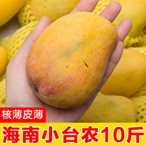 台农小芒果应季现摘新鲜整箱5/9斤鸡蛋芒海南时令特产小台芒包邮