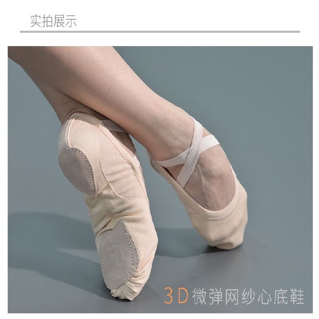o3d微力双形层网纱透气舞蹈软底练功鞋芭弹蕾体专业艺考女夏季