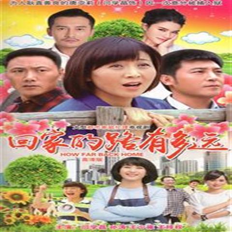 大型都市情感电视剧回家的路有多远家用2dvd碟片完整版闫学晶45集