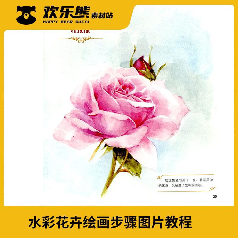 水彩花卉步骤教程图片素材初级入门自学水彩花鸟教程
