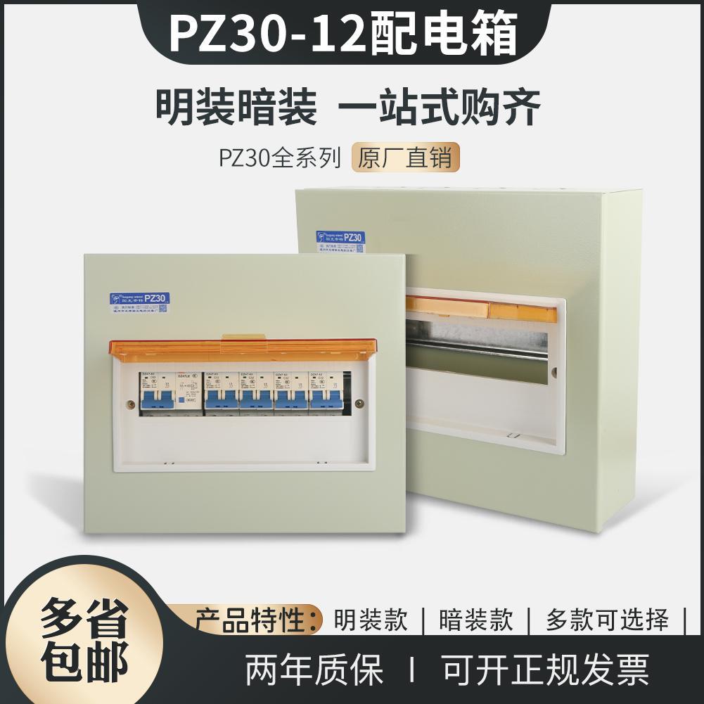 配电箱家用pz30-12大型明暗装开关电源控制箱回路空开工程款包邮