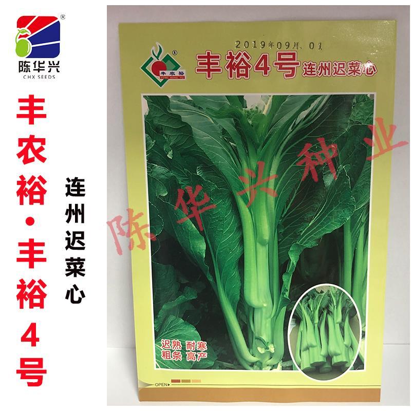 陈华兴 丰农裕牌丰裕4号 连州迟菜心种子迟熟耐寒粗条菜心种籽10g