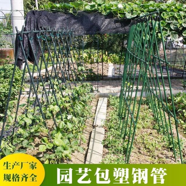 种菜架子黄瓜豆角爬藤架庭院葡萄架包钢塑管植物支架户外攀爬架子【3