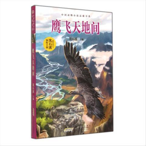 正版图书 中国动物小说品藏书系:鹰飞天地间 沈石溪14.5童书儿童