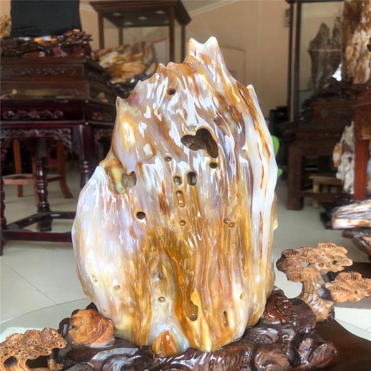 缅甸树化玉摆件树化石天然硅化玉原石木化玉奇石木化石硅化木摆件